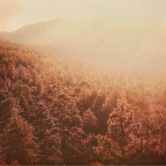 Fall Scrapbook Paper! Beautiful Autumn Colors! 12x12 Premium Card Stock! - Picture 5 of 12